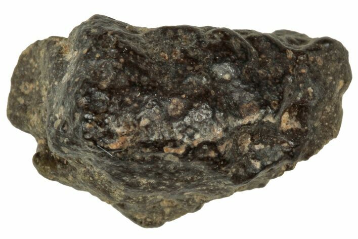Abadla CM Chondrite Meteorite ( g) - Algeria #313061